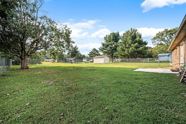 view of yard featuring a patio area