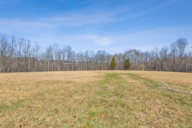 view of landscape featuring a rural view