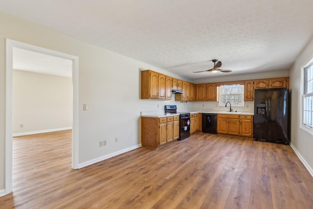 kitchen featuring sink, a textured ceiling, hardwood / wood-style flooring, ceiling fan, and black appliances