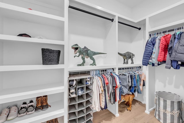 walk in closet with hardwood / wood-style floors