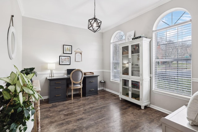 office with crown molding and dark hardwood / wood-style floors