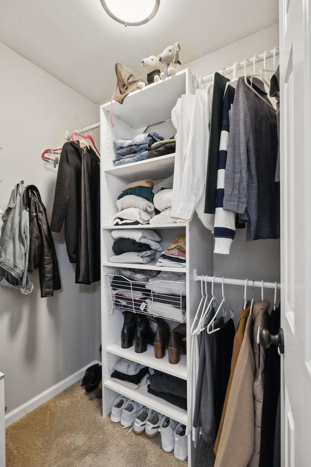 spacious closet featuring carpet