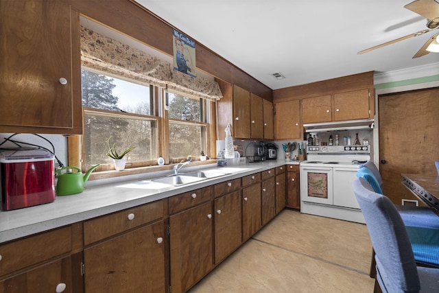 kitchen featuring ceiling fan, sink, and white range with electric stovetop