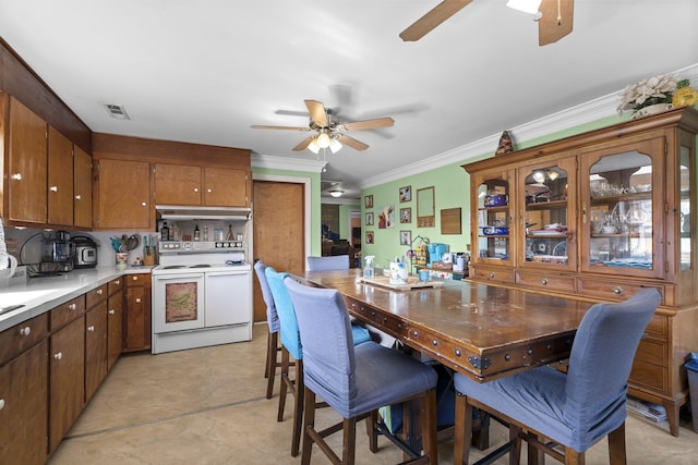 interior space with crown molding and ceiling fan