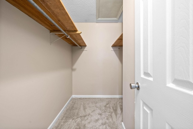 walk in closet with light colored carpet