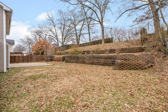 view of yard featuring a patio