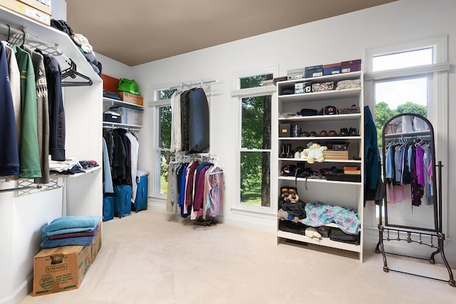 spacious closet featuring carpet