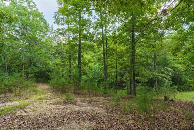 view of local wilderness