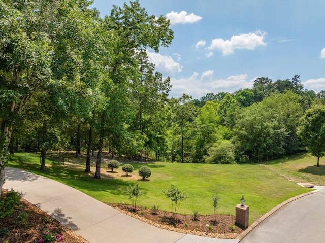 view of community with a lawn