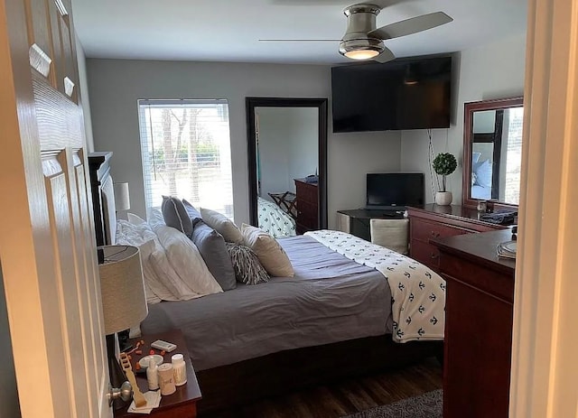 bedroom featuring ceiling fan and dark hardwood / wood-style floors