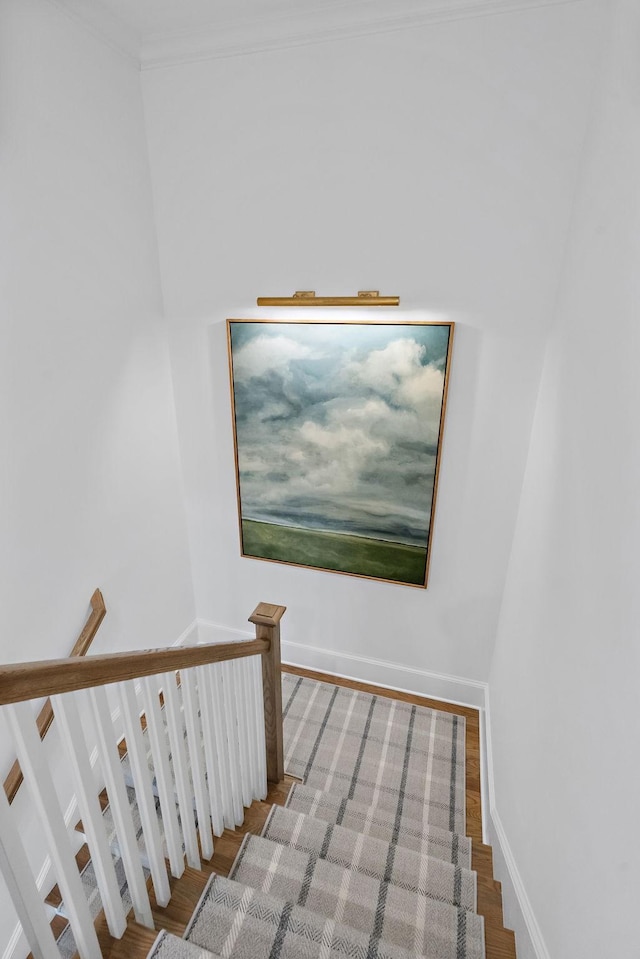 stairs featuring hardwood / wood-style flooring and crown molding