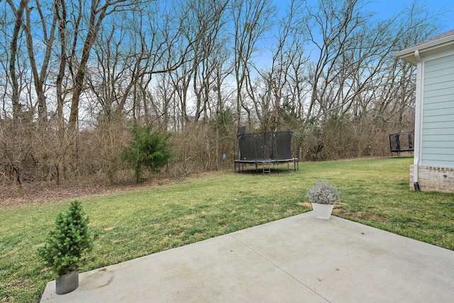 view of yard featuring a trampoline and a patio area