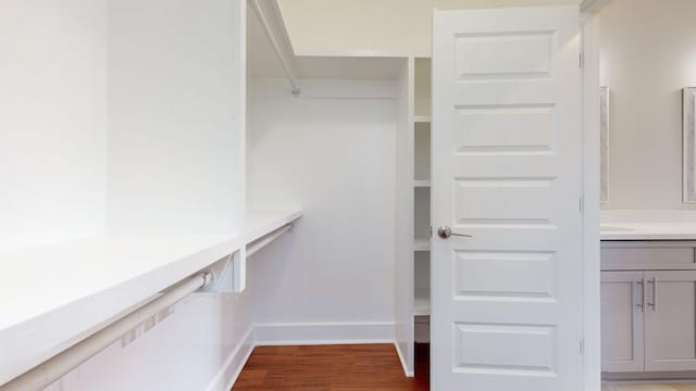 spacious closet featuring dark wood-type flooring