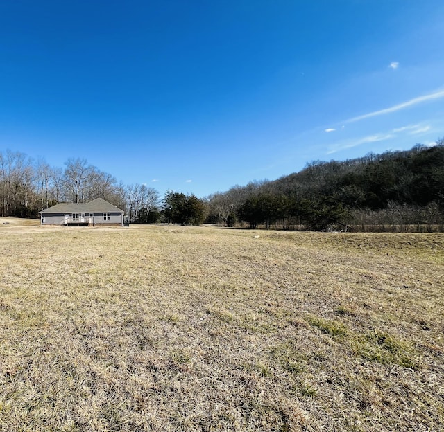 view of yard with a rural view