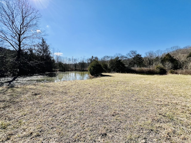 view of yard featuring a water view