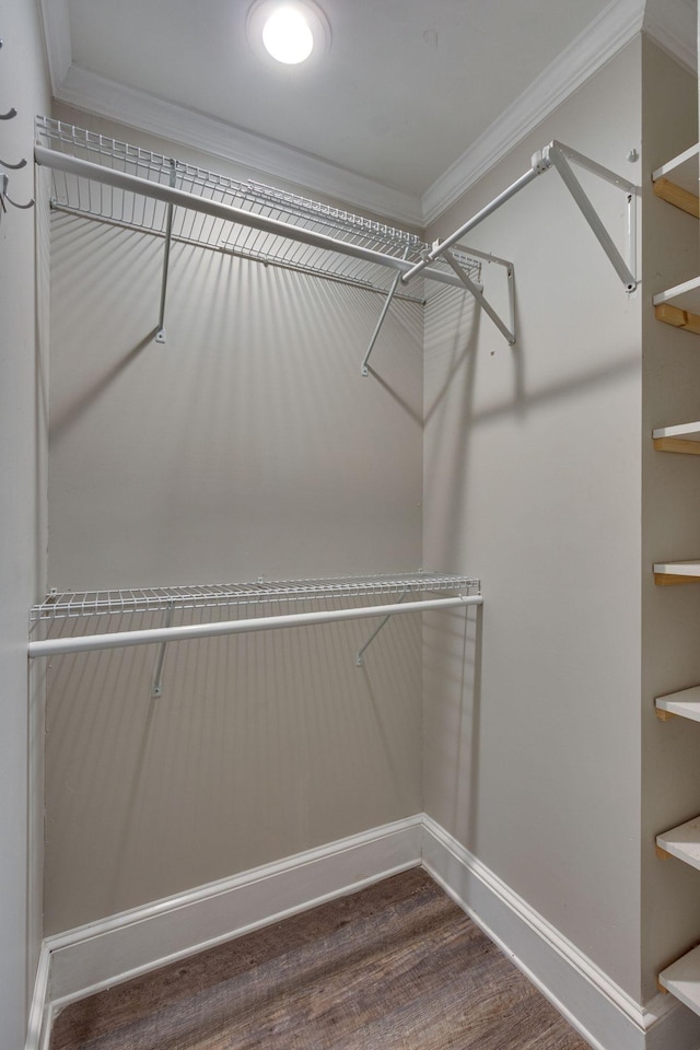 spacious closet with dark hardwood / wood-style flooring