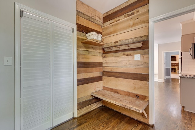 mudroom featuring dark wood-type flooring and wooden walls