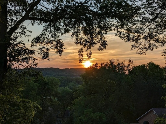 view of nature at dusk