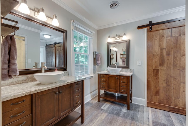 bathroom featuring crown molding, vanity, and wood-type flooring