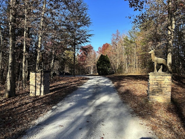 Listing photo 2 for 0 N Rim Dr, Coalmont TN 37313