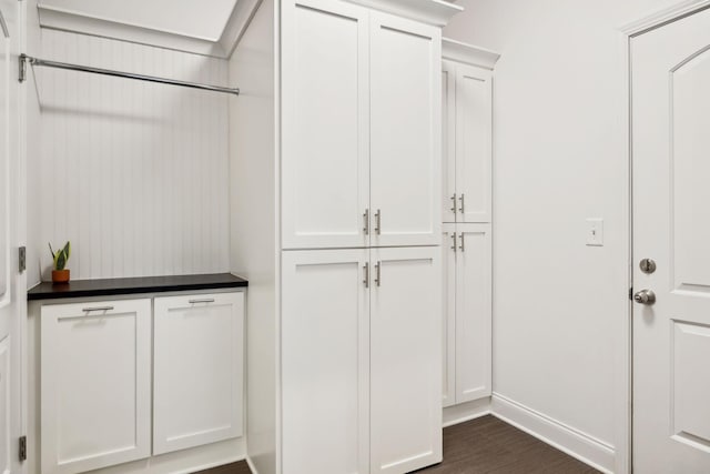 spacious closet with dark hardwood / wood-style floors