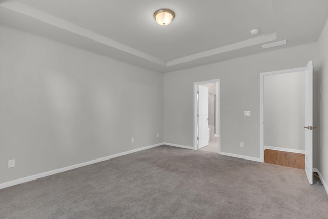 spare room featuring light colored carpet and a tray ceiling