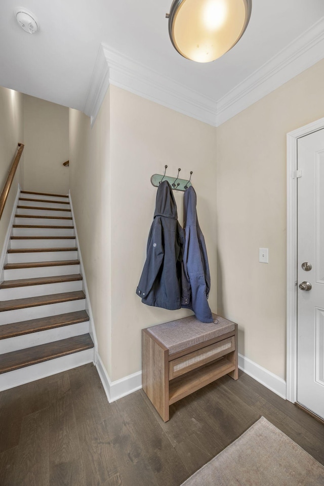 mudroom featuring dark hardwood / wood-style flooring and ornamental molding