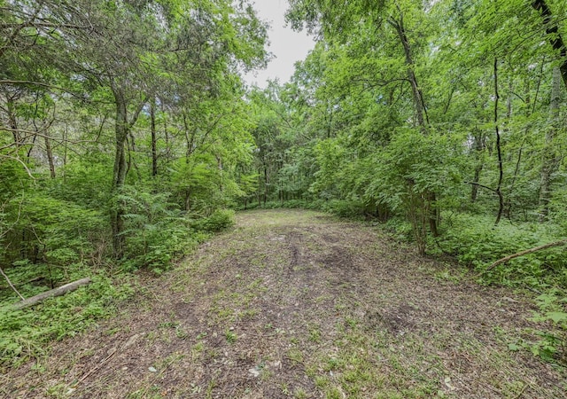 915 Bluff Rd, Brentwood, TN 37027 - photo 13