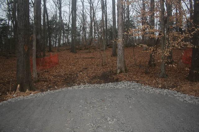 915 Bluff Rd, Brentwood, TN 37027 - photo 44