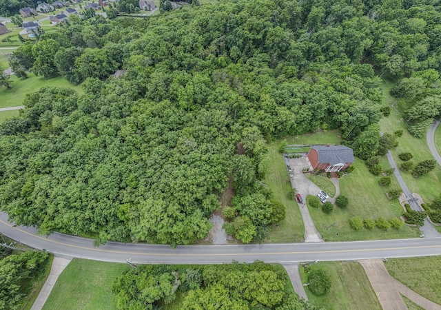 915 Bluff Rd, Brentwood, TN 37027 - photo 34