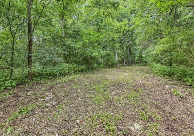915 Bluff Rd, Brentwood, TN 37027 - photo 32