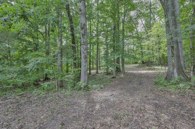 915 Bluff Rd, Brentwood, TN 37027 - photo 17