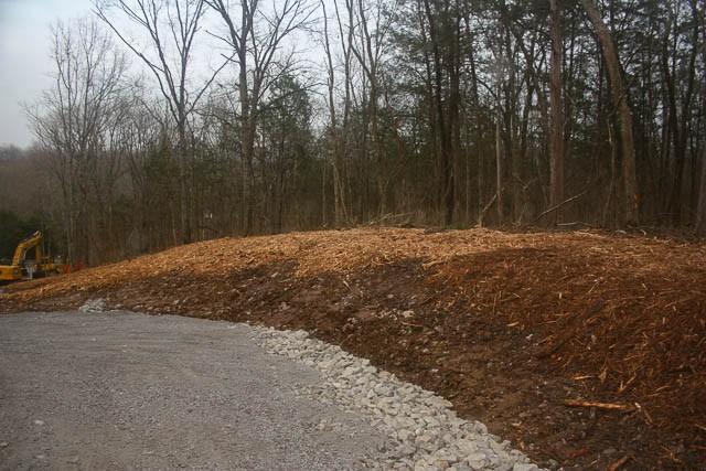 915 Bluff Rd, Brentwood, TN 37027 - photo 46