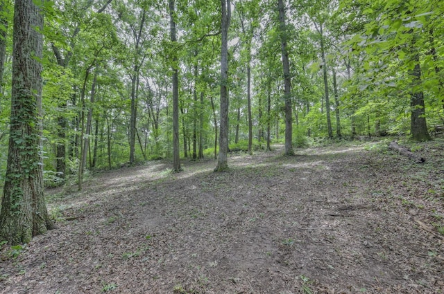 915 Bluff Rd, Brentwood, TN 37027 - photo 24