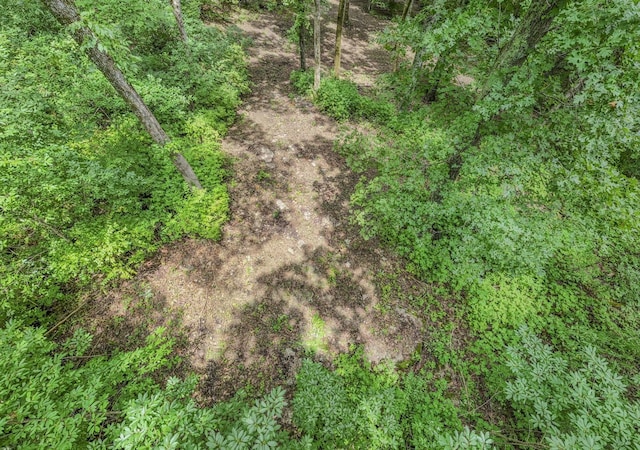915 Bluff Rd, Brentwood, TN 37027 - photo 29