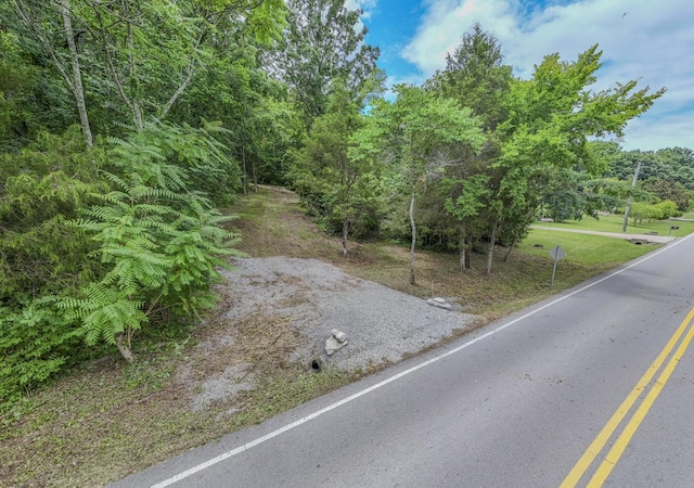 915 Bluff Rd, Brentwood, TN 37027 - photo 9