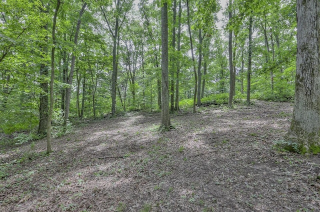 915 Bluff Rd, Brentwood, TN 37027 - photo 23