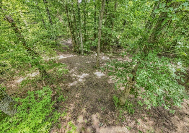 915 Bluff Rd, Brentwood, TN 37027 - photo 28