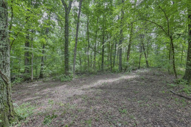 915 Bluff Rd, Brentwood, TN 37027 - photo 21
