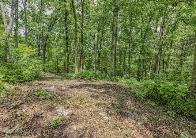915 Bluff Rd, Brentwood, TN 37027 - photo 26