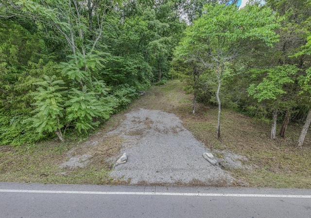 915 Bluff Rd, Brentwood, TN 37027 - photo 10