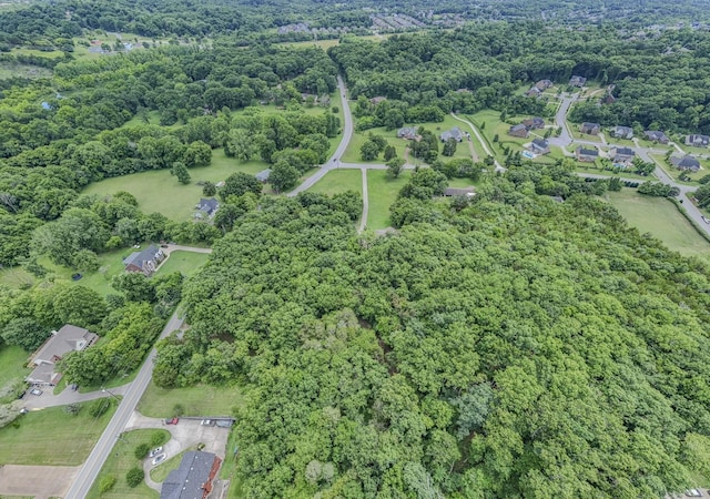 915 Bluff Rd, Brentwood, TN 37027 - photo 35