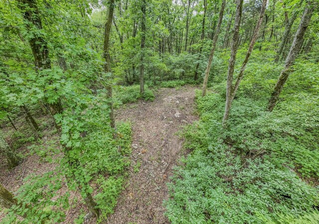 915 Bluff Rd, Brentwood, TN 37027 - photo 30