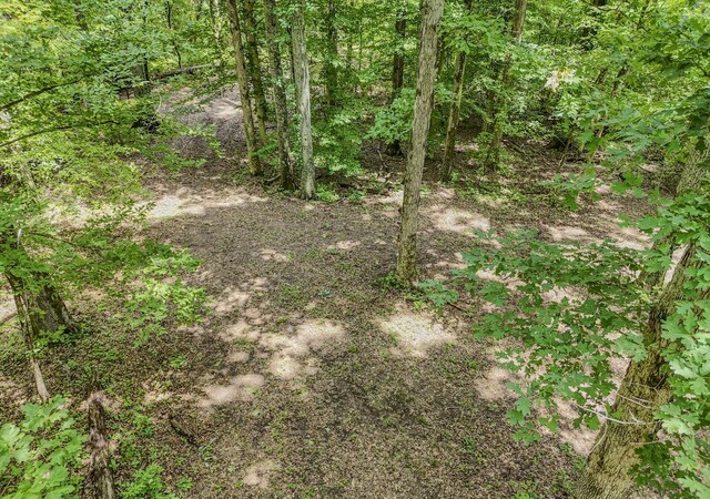 915 Bluff Rd, Brentwood, TN 37027 - photo 27
