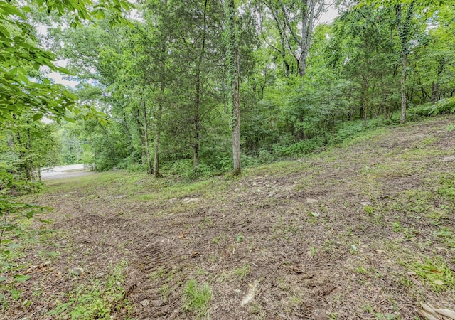 915 Bluff Rd, Brentwood, TN 37027 - photo 40
