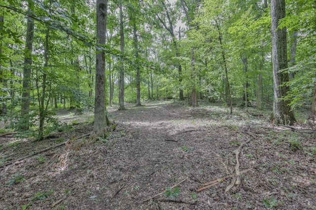 915 Bluff Rd, Brentwood, TN 37027 - photo 22