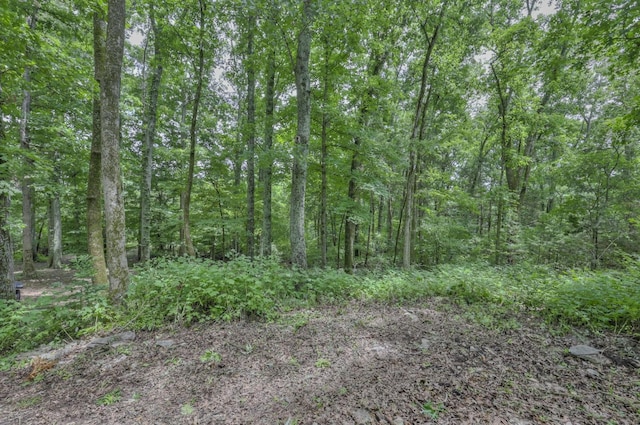 915 Bluff Rd, Brentwood, TN 37027 - photo 20