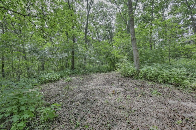 915 Bluff Rd, Brentwood, TN 37027 - photo 19