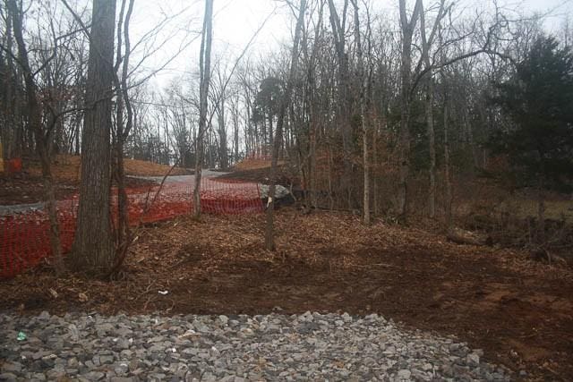 915 Bluff Rd, Brentwood, TN 37027 - photo 49