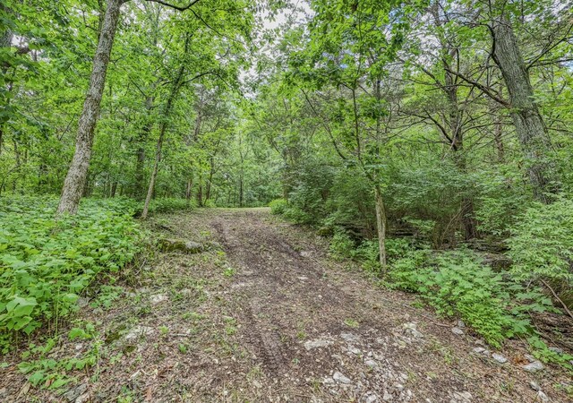 915 Bluff Rd, Brentwood, TN 37027 - photo 33